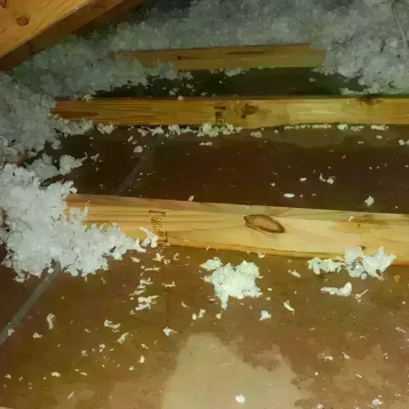 Attic Water Damage in Orcutt, CA